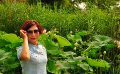 2019年免费观看最新肉动漫